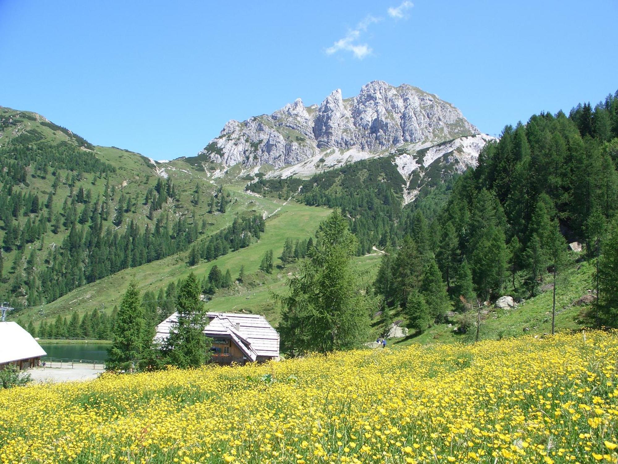 Biker Hotel Al Gallo Forcello Passo di Pramollo Esterno foto