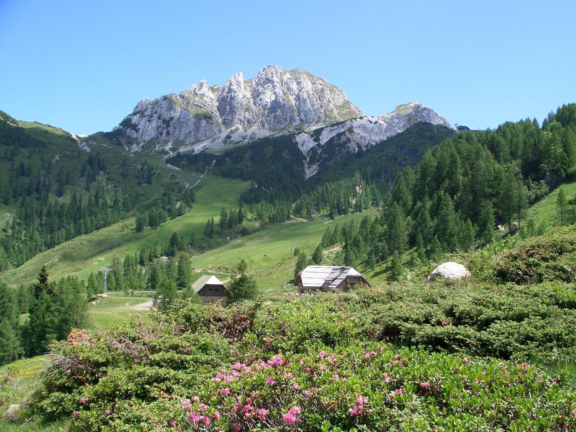 Biker Hotel Al Gallo Forcello Passo di Pramollo Esterno foto